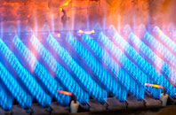 Ebblake gas fired boilers